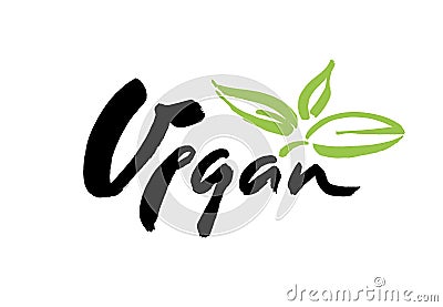 Vegan hand written calligraphy lettering with green leaf for cafe menu design. Brush lettering Vector illustration. Cartoon Illustration