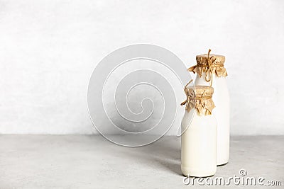 Non dairy plant based milk in bottles and ingredients on light background. Alternative lactose free milk substitute Stock Photo