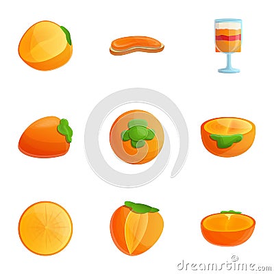 Vegan persimmon icon set, cartoon style Vector Illustration