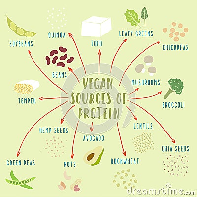 Vegan plant-based sources of protein Vector Illustration