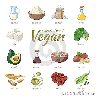 Vegan sources of protein. Plant based protein Vector Illustration