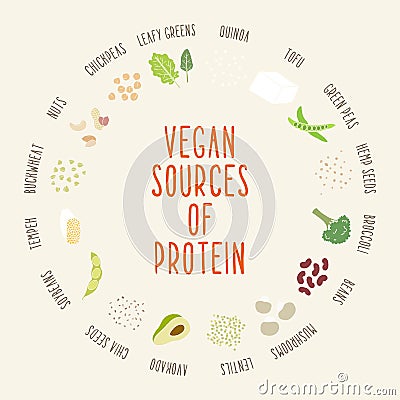 Vegan sources of protein. Vector Illustration