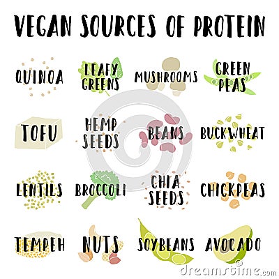 Vegan sources of protein. Vector Illustration