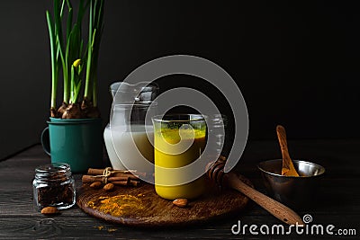 Vegan turmeric latte in a glass, almond milk, spices, potted yellow duffodils on dark rustic background, closeup view Stock Photo