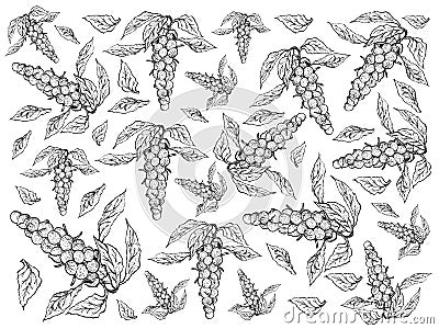 Hand Drawn of Fresh Brussels Prouts Plants Background Stock Photo