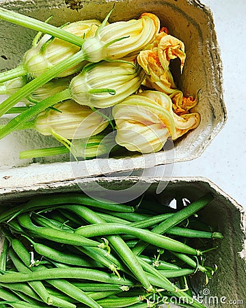 Vegetable boxes, courgette flowers picked from the garden, fresh green green beans, produce picked from your own garden, fresh sum Stock Photo