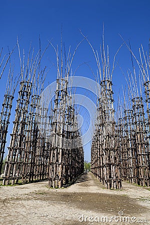 The Vegetable Cathedral in Lodi, Italy, made up 108 wooden columns among which an oak tree has been planted Stock Photo