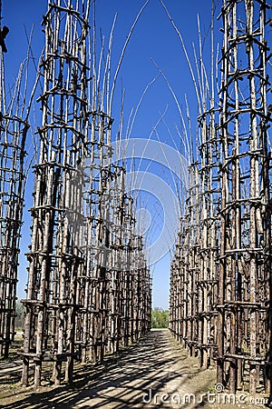 The Vegetable Cathedral in Lodi, Italy, made up 108 wooden columns among which an oak tree has been planted Stock Photo