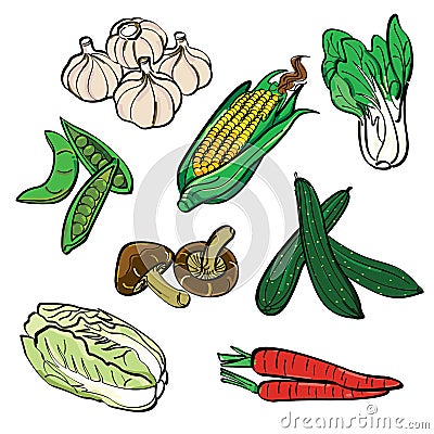 Vegetable Color Set Stock Photo