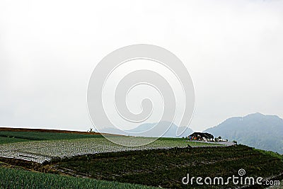 Vegetable valley in Kaliangkrik, Magelang Stock Photo