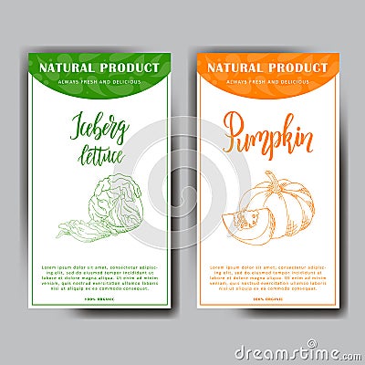 Vegetable food banner. Iceberg lettuce and pumpkin sketches. Organic food poster. Vector illustration. Vector Illustration