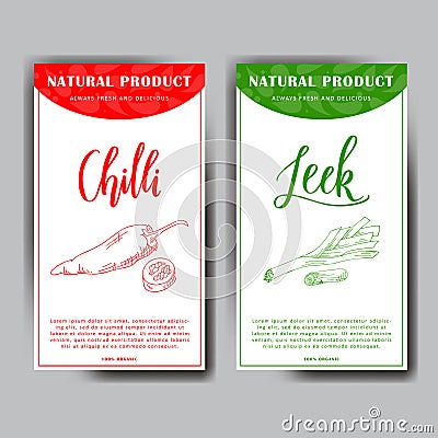 Vegetable food banner. Sketch of fresh leek and chilli. Organic food poster. Vector illustration. Vector Illustration