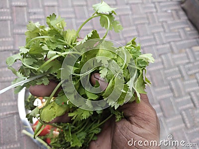 Vegetable food gujarat Stock Photo