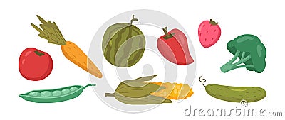 Vegetable food, tomato and carrot, watermelon Vector Illustration