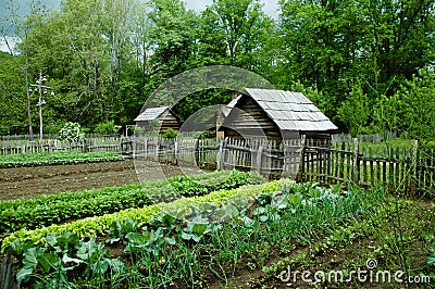 Vegetable Garden Stock Photo