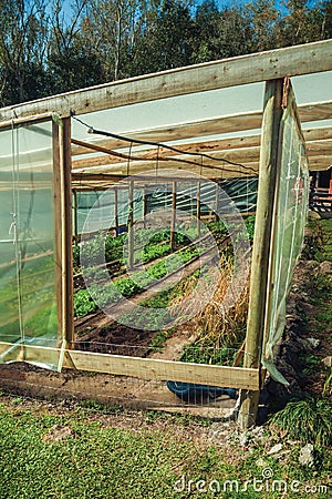 Vegetable garden inside a greenhouse Stock Photo