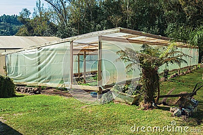 Vegetable garden inside a greenhouse Stock Photo