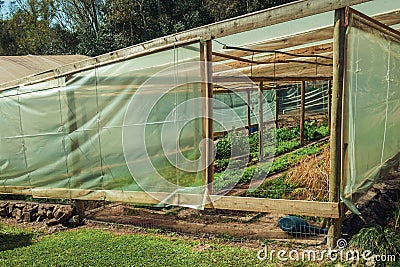 Vegetable garden inside a greenhouse Stock Photo