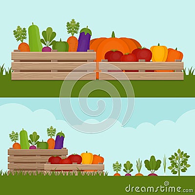 Vegetable garden. Organic and healthy food. Fresh vegetables in Vector Illustration