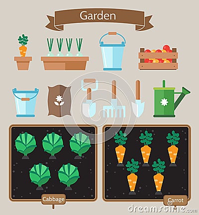 Vegetable garden planner flat design.Beds with cabbage, carrots. Vector Illustration