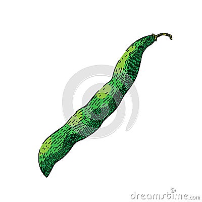 vegetable geen beans sketch hand drawn vector Vector Illustration