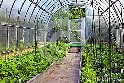 Vegetable greenhouses made of transparent polycarbonate Stock Photo