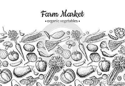 Vegetable hand drawn vintage vector illustration. Farm Market poster. Vegetarian set of organic products. Vector Illustration