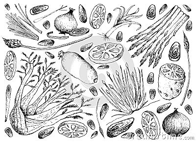 Hand Drawn of Bulb and Stem Vegetables Background Vector Illustration