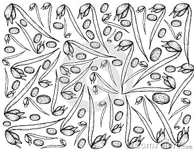 Hand Drawn of Mung Beans and Bean Sprouts Background Vector Illustration