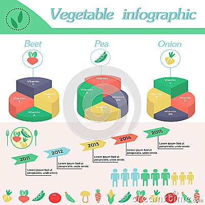 Vegetable infographic. Template for cycling diagram Vector Illustration