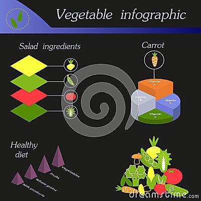 Vegetable infographic. Template for cycling diagram Vector Illustration