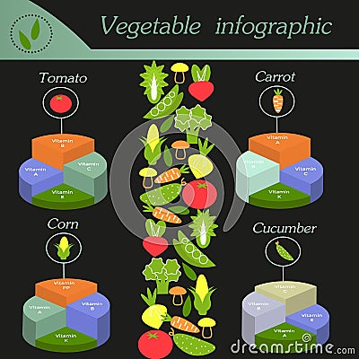 Vegetable infographic. Template for cycling diagram Vector Illustration