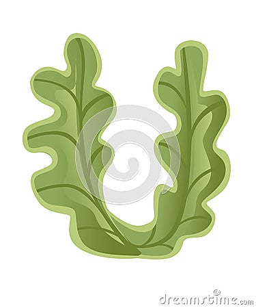 Vegetable letter U lettuce style cartoon vegetable design flat vector illustration isolated on white background Cartoon Illustration