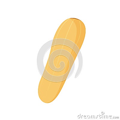 Vegetable Marrow Icon Vector Illustration