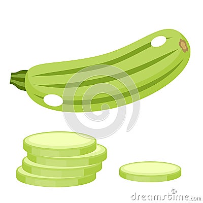 Vegetable marrow on a white background. Vector Illustration