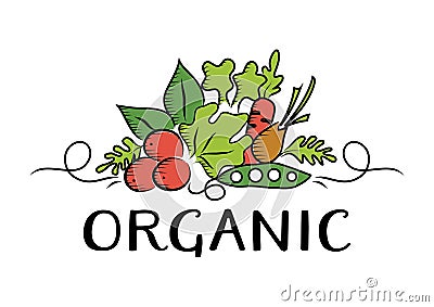 Vegetable and organic Logo Vector Illustration