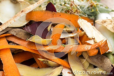 Vegetable peelings in composting pile Stock Photo