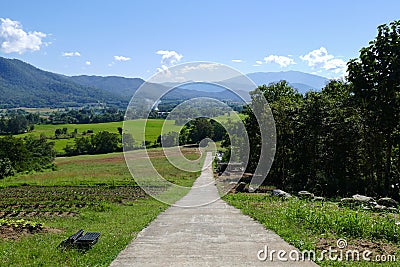 Vegetable plot with mountain and paddy view Stock Photo