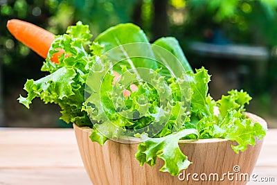 Vegetable salad bowl Stock Photo