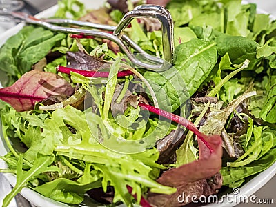 Vegetable Salad consisting of various leafy greens in a serving bowl Stock Photo