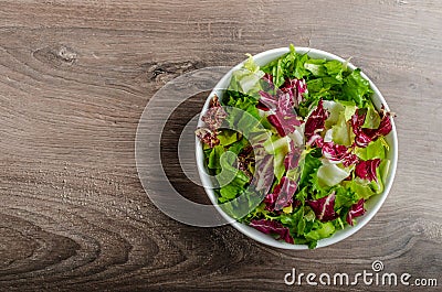 Vegetable salad with endive Stock Photo