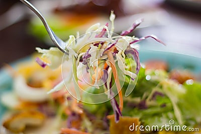 Vegetable Salad Stock Photo