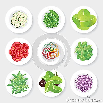 Vegetable salad Vector Illustration