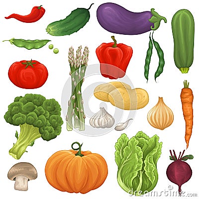 Vegetable set Vector Illustration