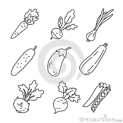 Vegetable sketch. Carrot, radish, green onion and cucumber. Eggplant, zucchini, kohlrabi cabbage, beet and pea. Thin simple Vector Illustration