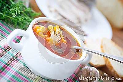 Vegetable soup with cauliflower and beets Stock Photo