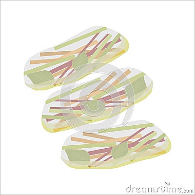 Vegetable spring rolls in rice paper separately Vector Illustration