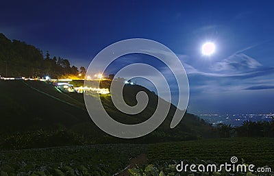 Vegetable and Strawberry garden Night shoot long exposure with moon and blue sky at Phu Tubberk, Thailand. Stock Photo