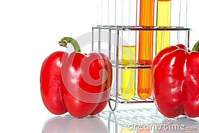 Vegetable test, Genetic Modification, Pepper Stock Photo