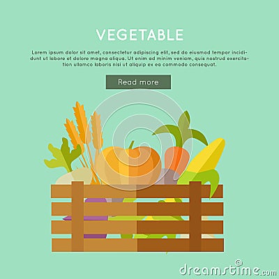 Vegetable Vector Web Banner in Flat Design. Vector Illustration
